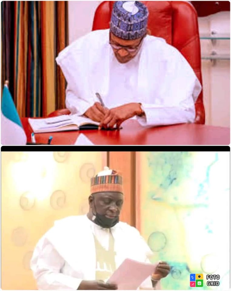 Oloriegbe Records Another Milestone As Buhari Signs Mental Health Bill Into Law
